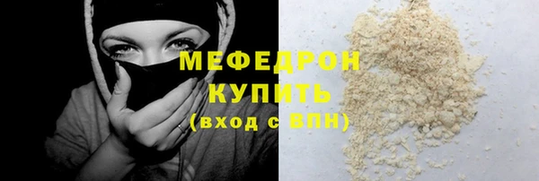 шишки Удомля