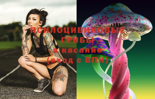 mix Няндома