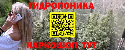 эйфоретик Кандалакша