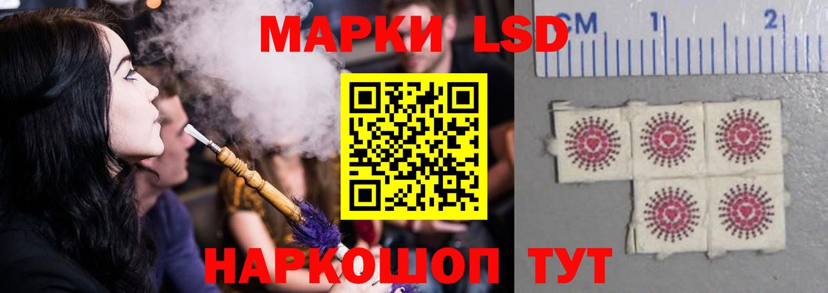 Меф Курск