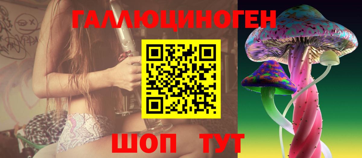 Галлюциногенные грибы Psilocybe Курск